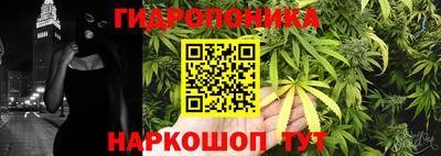 прущие грибы Заволжье